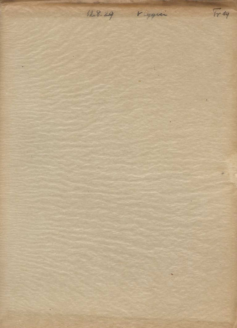 Plattenhuelle GRTr019V