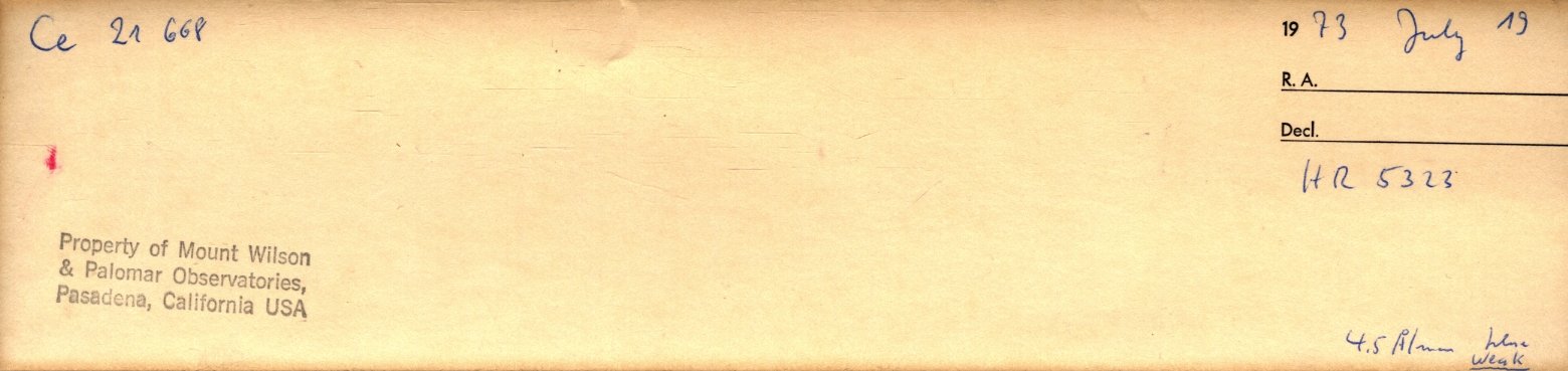 Plattenhuelle MW21668
