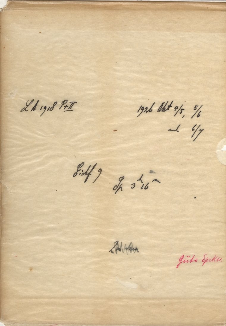 Plattenhuelle LA01918