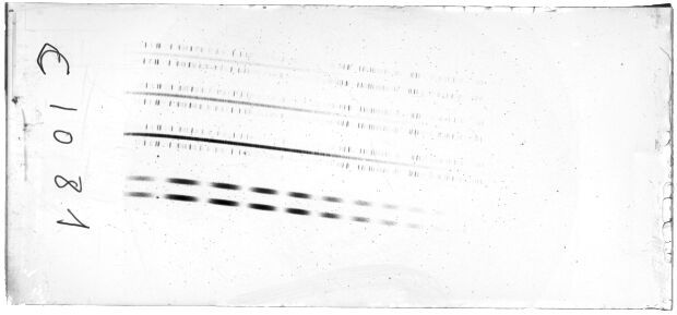 Scan CAC1081