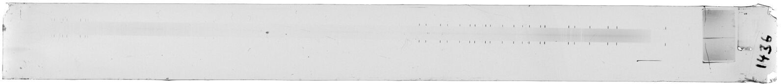 Scan ESF1436