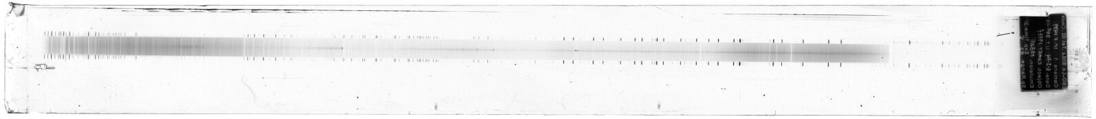 Scan ESF1439