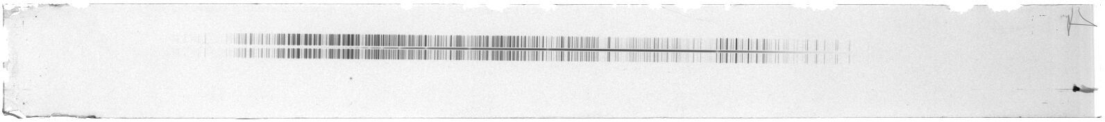 Scan ESF4977