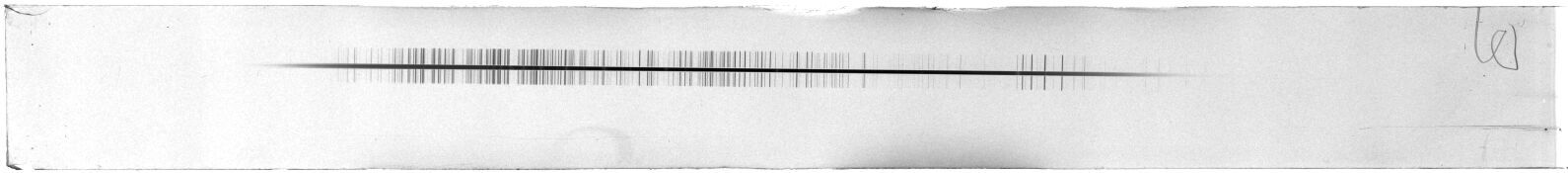 Scan ESF4979