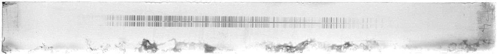 Scan ESF4980