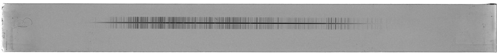 Scan ESF5028