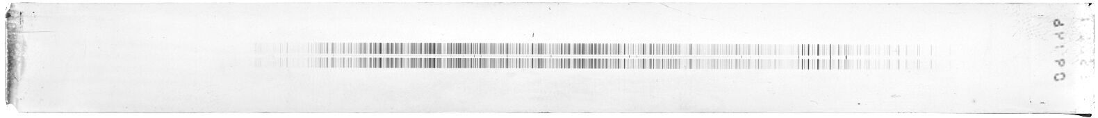 Scan ESF9146