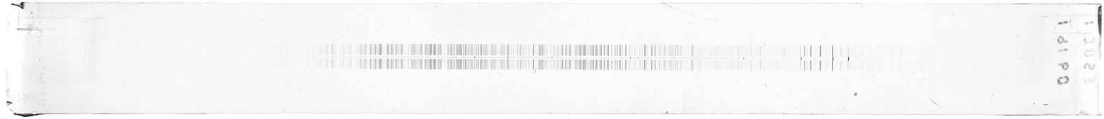 Scan ESF9161