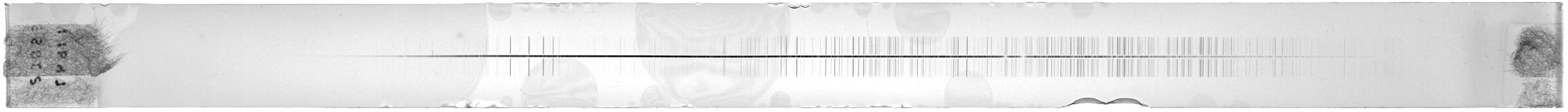 Scan ESI1647