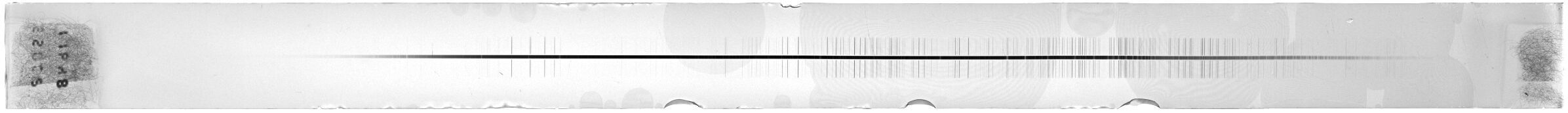 Scan ESI1648
