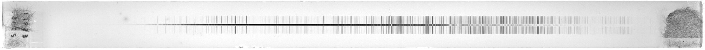 Scan ESI1653