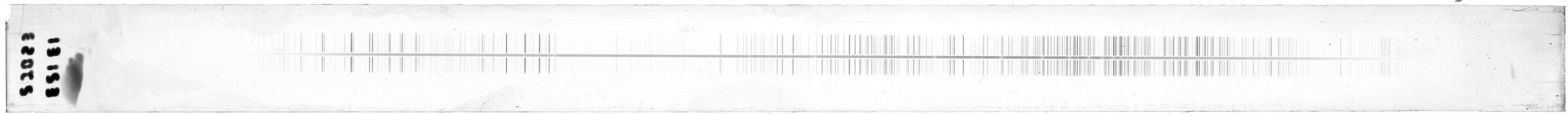 Scan ESI3123