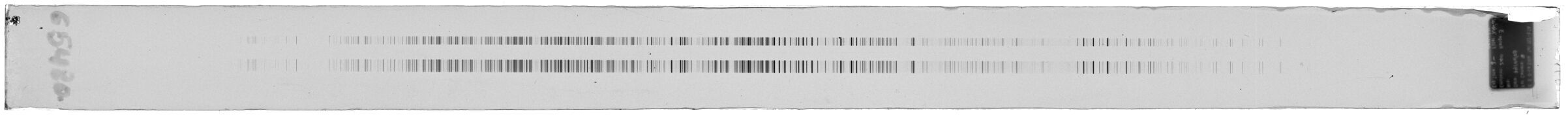 Scan ESo5480b