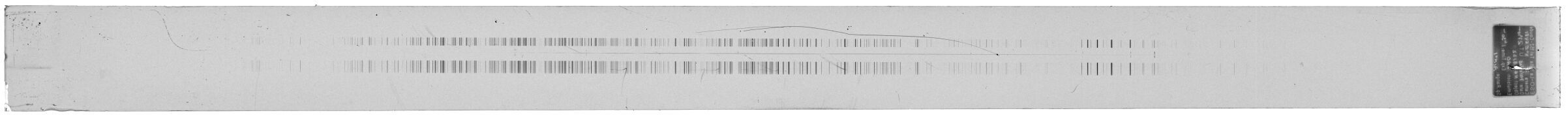 Scan ESo5481