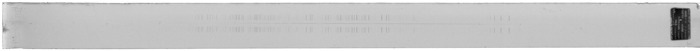Scan ESo5490