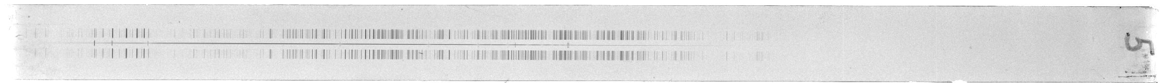 Scan ESo8156
