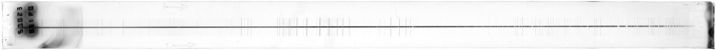 Scan ESo9138