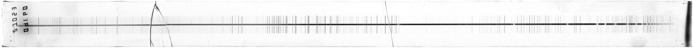 Scan ESo9160