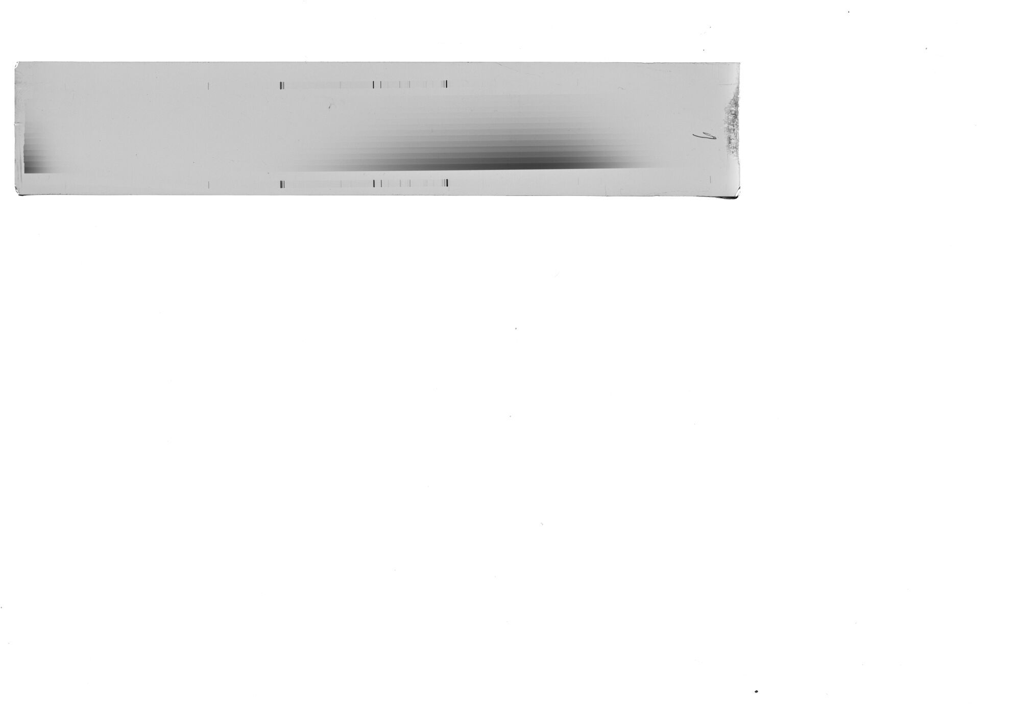 Scan ESF9146C