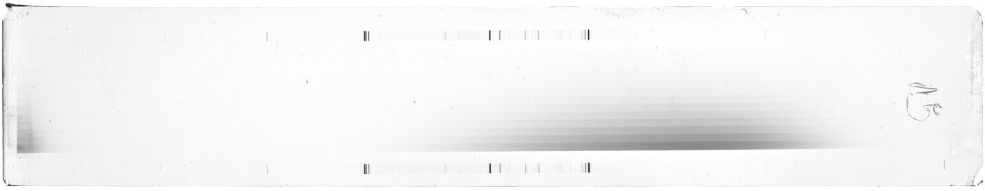 Scan ESF9161e