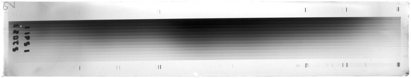 Scan ESI1621C