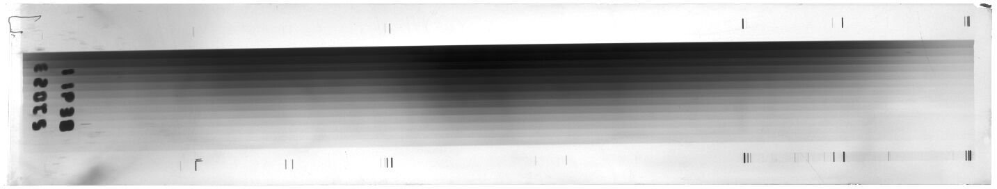 Scan ESI1638C