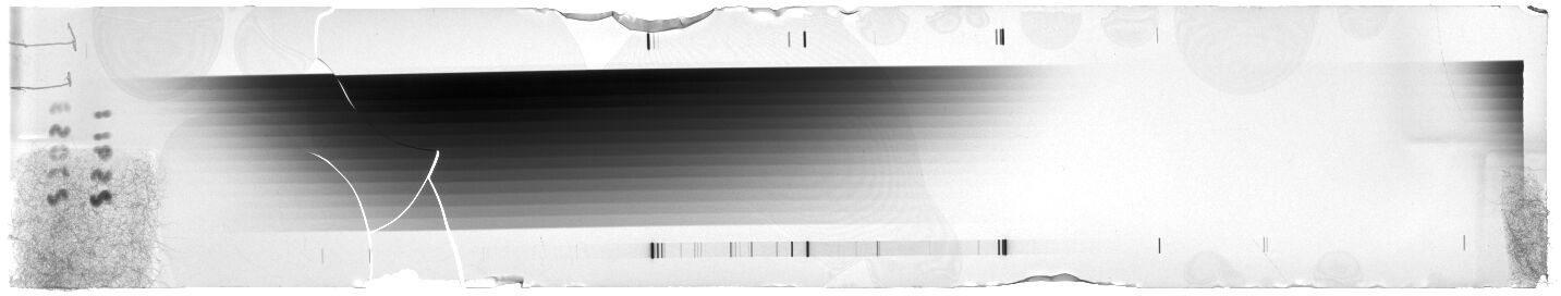 Scan ESI1652C