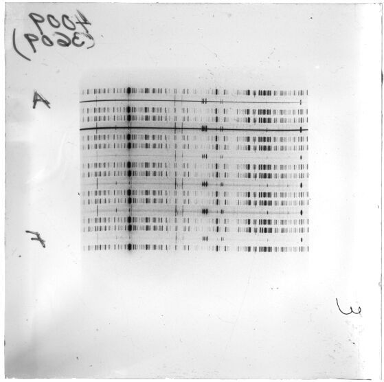 Scan ESJ3609