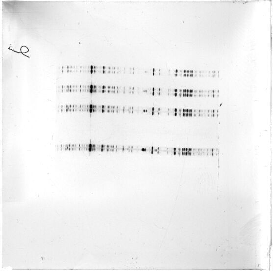 Scan ESJ3612