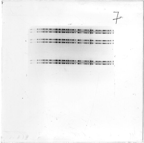 Scan ESJ3613
