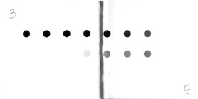 Scan ESJ4026c