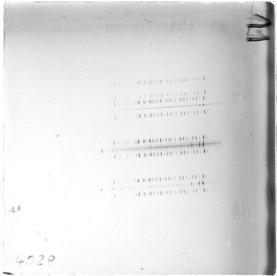 Scan ESJ4028
