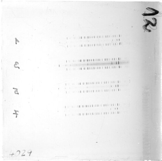 Scan ESJ4029