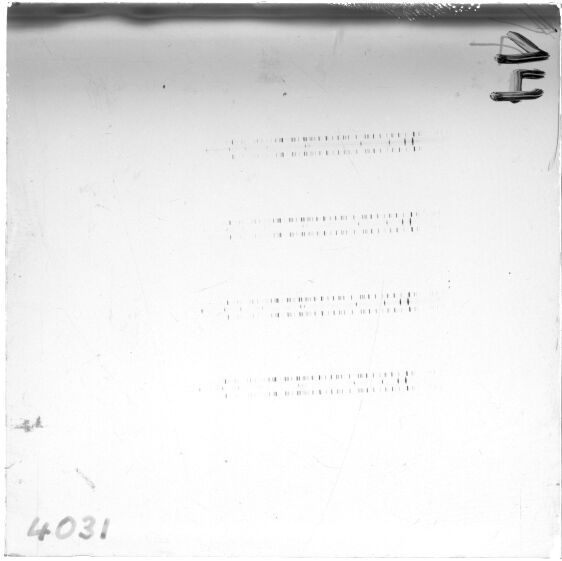 Scan ESJ4031