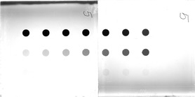 Scan ESJ4034c