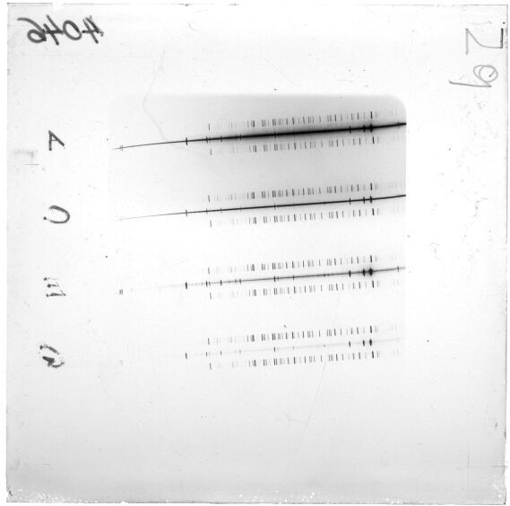 Scan ESJ4046