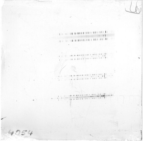 Scan ESJ4054