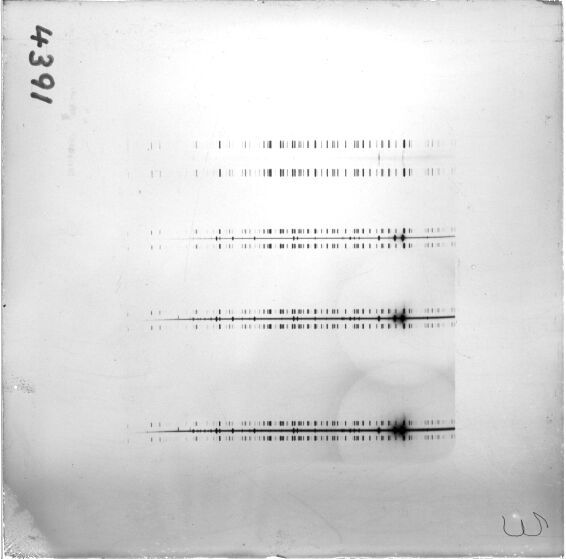 Scan ESJ4391
