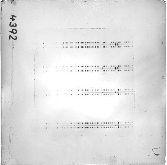 Scan ESJ4392