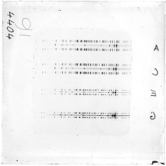 Scan ESJ4404