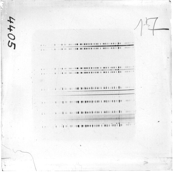 Scan ESJ4405