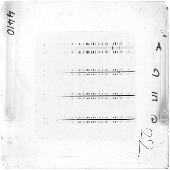 Scan ESJ4410