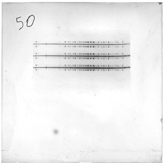 Scan ESJ4498