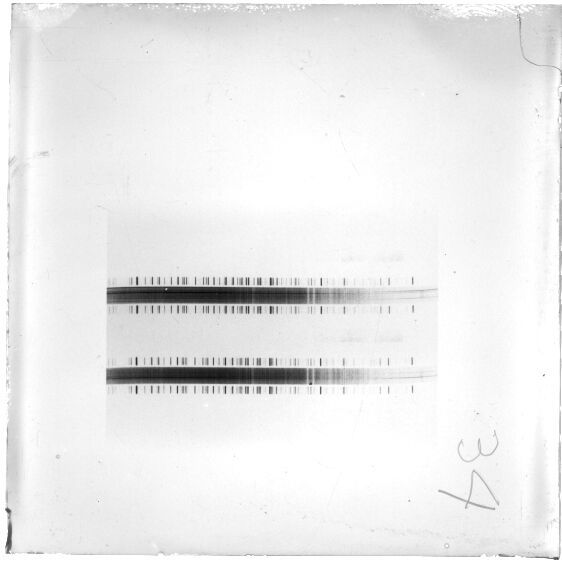Scan ESJ4529