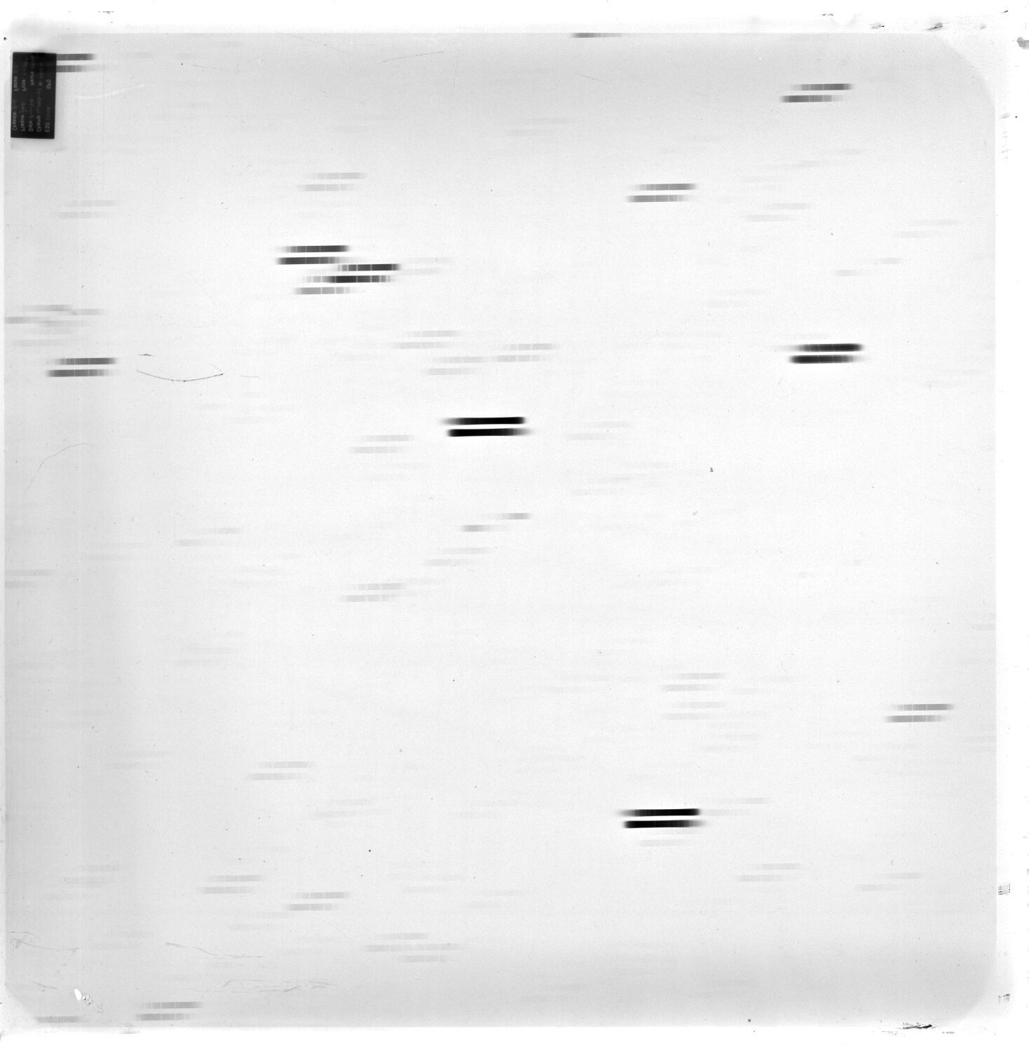 Scan ESo2446