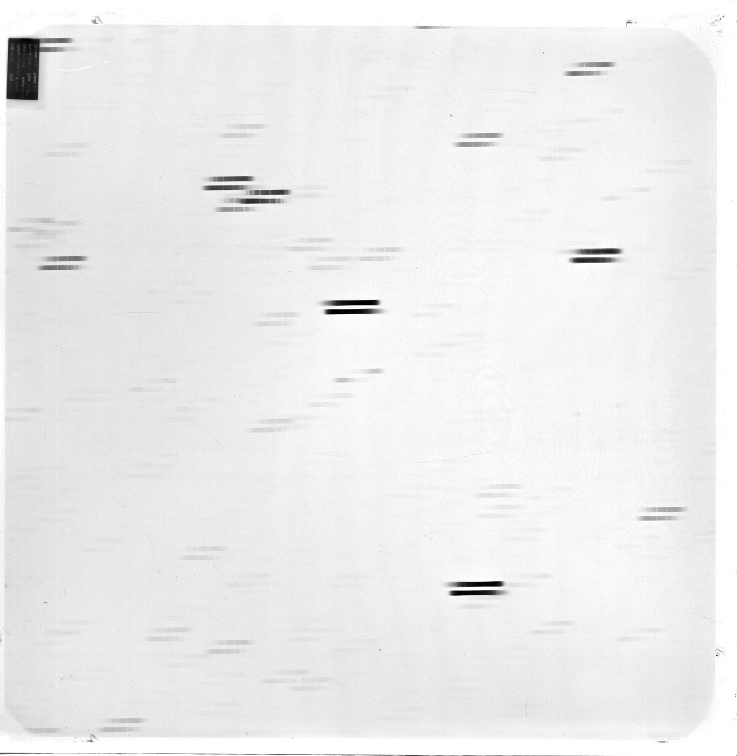 Scan ESo2447