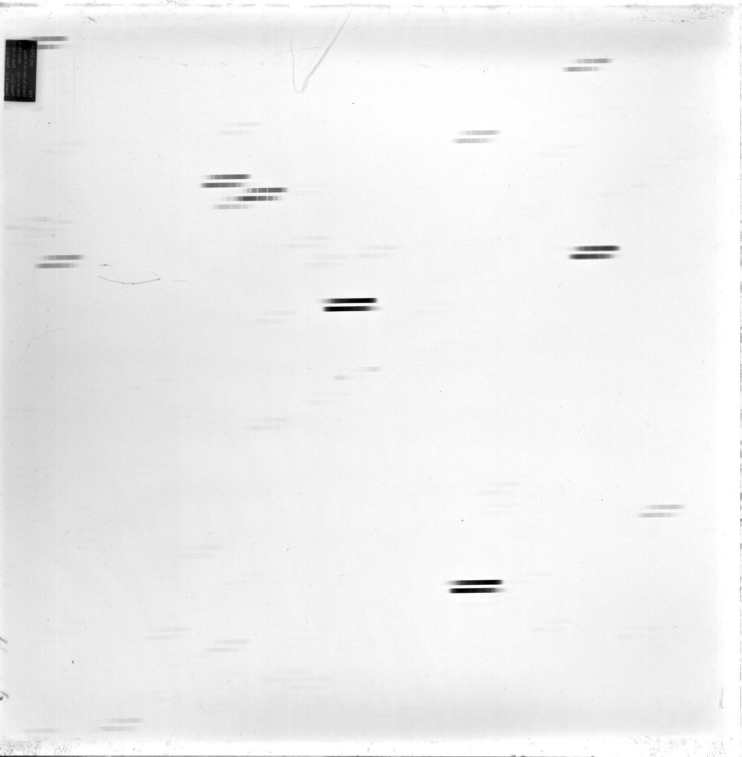 Scan ESo2464