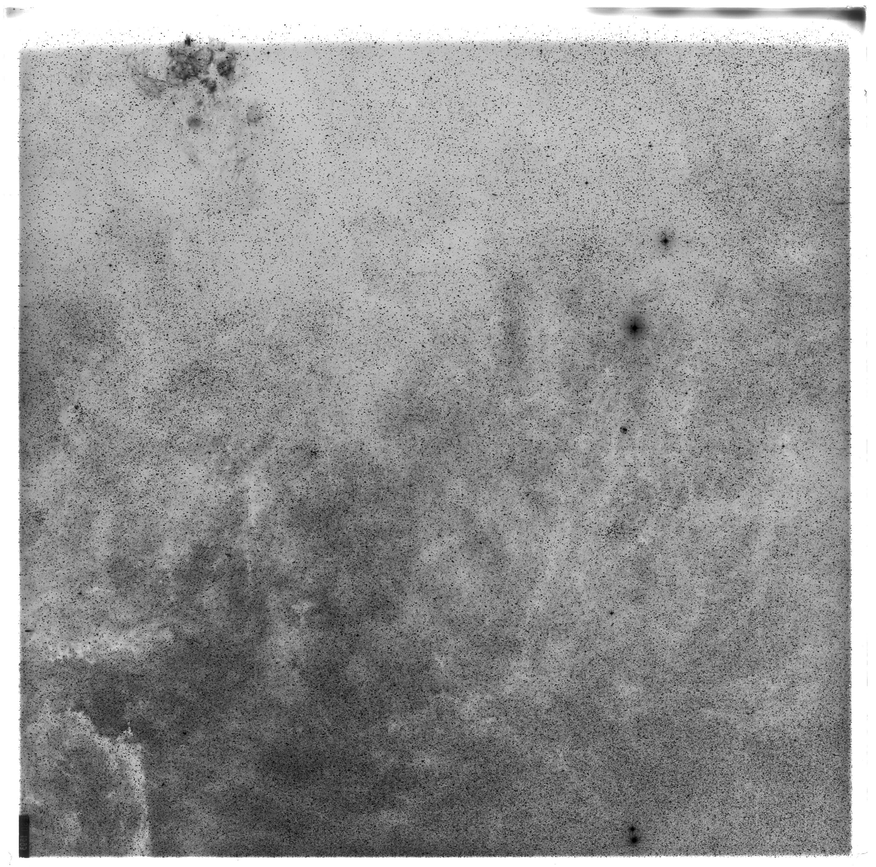 Scan ES01593