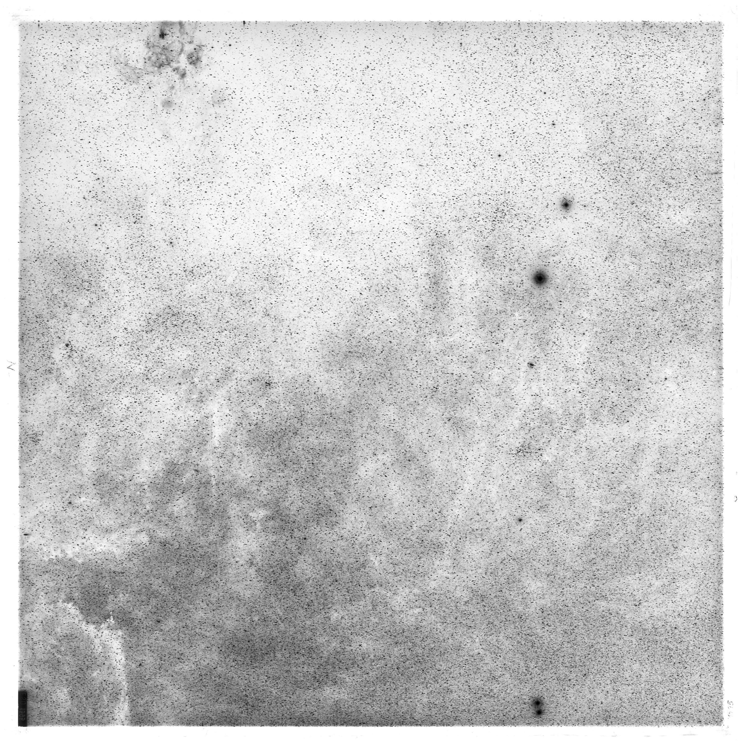Scan ES01595