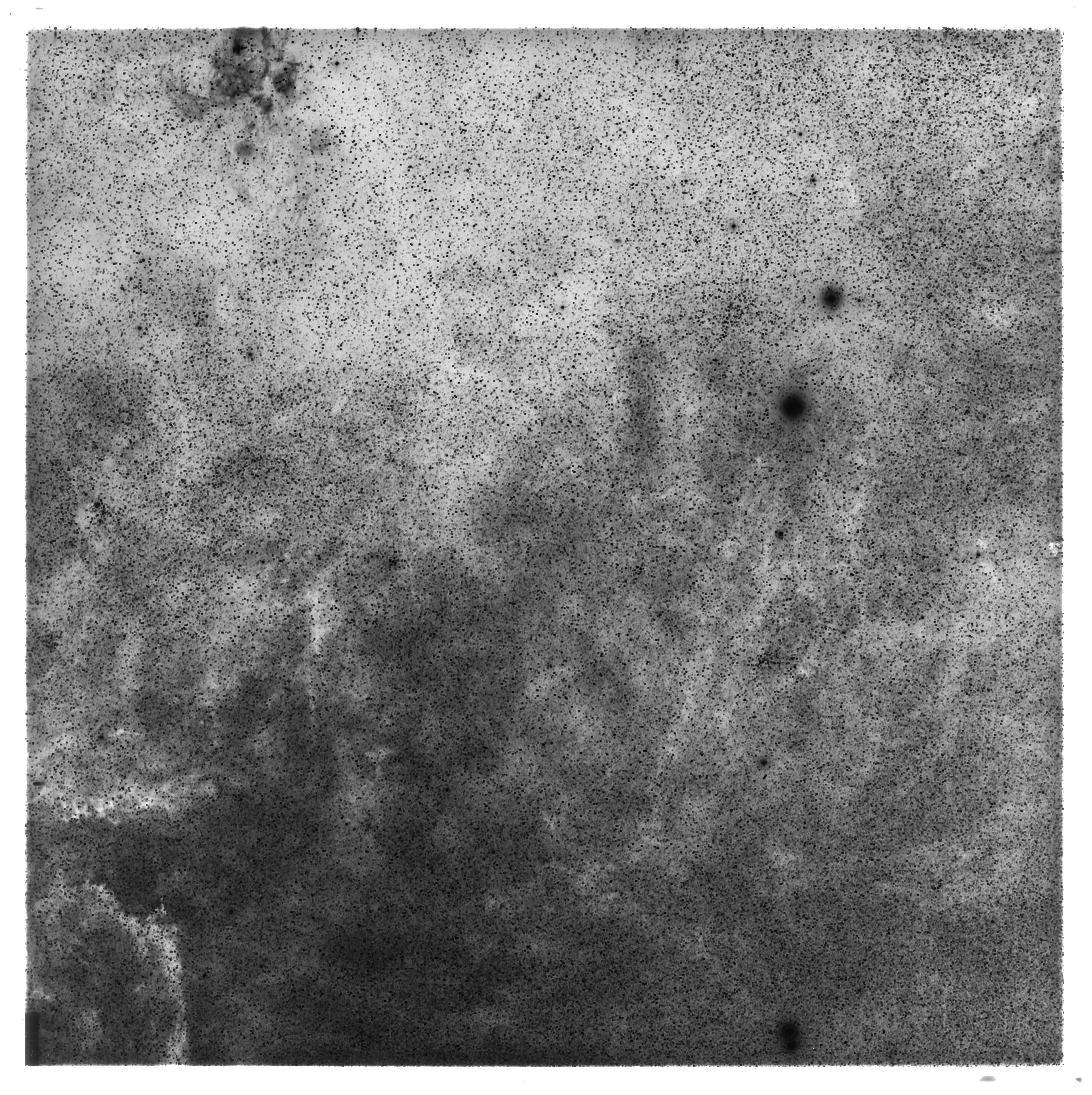 Scan ES01596